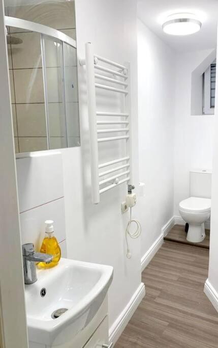 Central Studio Flat บูคาเรสต์ ภายนอก รูปภาพ